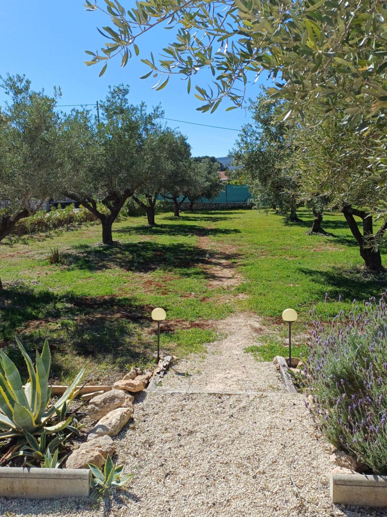 B&B Casa Vitalidad Ontinyent Luaran gambar